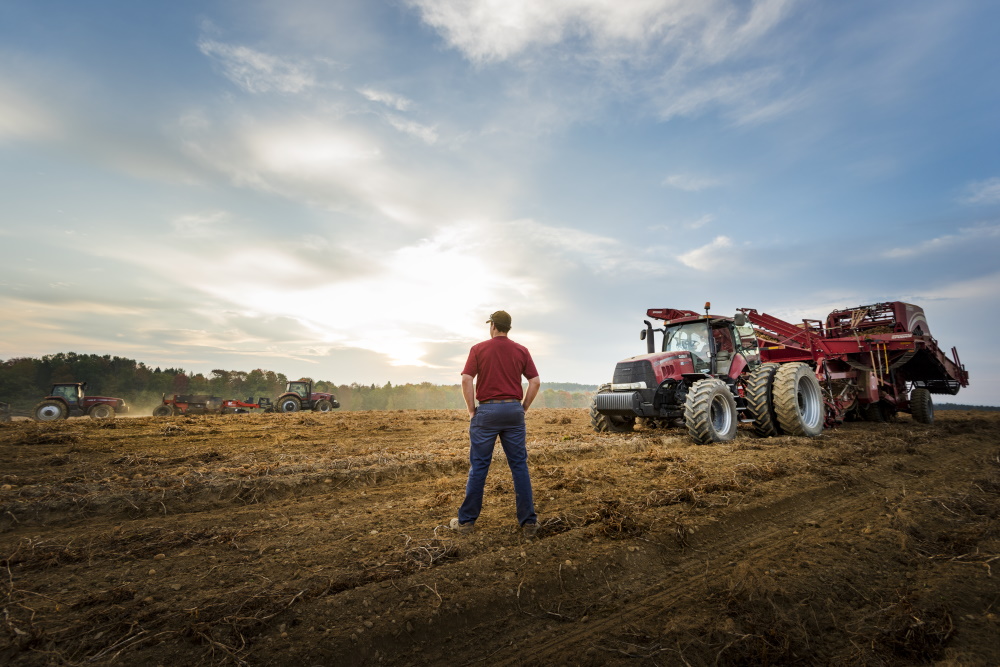 Autum setting of a farmer overseeing the harvesting of fields - farm equipment includes tractors and windrowers.